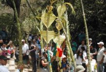 Semana Santa: acostumbrada tradición de los Palmeros de Chacao subirán hoy al Waraira Repano