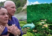 Una pareja brasileña pasó 20 años plantando un bosque entero, y miles de animales han regresado a casa gracias a eso
