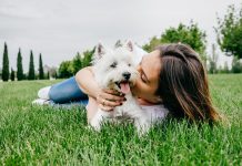 La ciencia lo respalda: los perros ocupan un lugar especial y único en la vida de los humanos