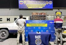 PNB detuvo a dos hombres por contrabändo de tres mil litros de gasoil en Portuguesa (+ Detalles)