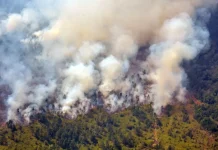 Cuatro de siete incendïos forestales fueron controlados por guardabosques en oeste de Cuba