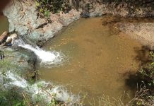 Parque ecoturístico La Guamita, un lugar de máxima relajación que se alberga en las montañas de Ocumare del Tuy