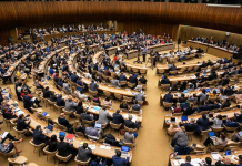 Incentivar la lactancia materna y limitär acceso a bebidas azucaradas, resoluciones de la Asamblea Mundial de la Salud