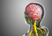 El síntoma invisible que te puede estar avisando de que algo no va bien en el sistema nervioso (+ Detalles)