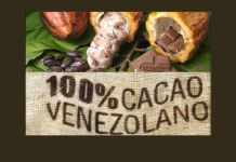 Cacao, cultura y patrimonio: un hábitat de aroma fino en Venezuela (+ Detalles)
