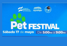 ¡El Pet Festival está por comenzar! promovido por la Gobernación de Anzoátegui, fortalece el cuidado y la salud de los peludos (+ Fotos)