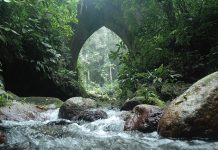 Parque Nacional San Esteban: un destino natural inigualable en Carabobo
