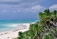 Cayo Bequevé: la maravillosa isla de corales que te espera en el Archipiélago Los Roques (+ Fotos)