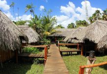 Ubicada en el corazón de la selva, Posada Abujene te lleva a vivir de cerca una experiencia Warao