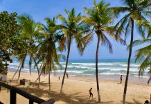 Conexión aérea entre Trujillo y Nueva Esparta potenciará el turismo y comercio mutuo