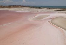 A fin de optimizar la producción: reactivan proyecto salinero en Isla de Coche