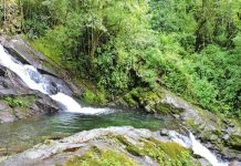 Un paraíso natural inmerso en el estado Trujillo: conoce las populares Pailas de Niquitao (+ Fotos)