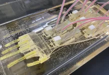 Un brazo robótico hecho con tejidos humanos: la ciencia avanza hacia las prótêsis de músculos vivos (+ Detalles)