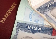 «Catch and Revoke»: La nueva política de Trump que acelera la revocación de visas en EE. UU