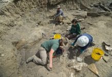 El «Río de la müêrte», el monumental cemênterio prehistórico que los científicos estudian para reconstruir el final de miles de dinosaurios