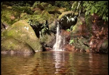 Disfruta del aviturismo, el senderismo y la escalada en roca en el Parque Nacional El Guache: un pulmón verde en la Cordillera Andina (+ Fotos)