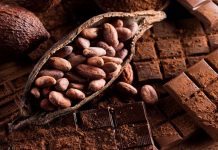 Abre tus Sentidos a la Ruta Chocoecológica: Un viaje Inolvidable por la esencia natural venezolana (+ Fotos)