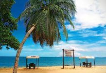 Desconéctate frente al mar de Cumaná: La magia de la Posada Tintorera Azul te espera (+ Fotos)