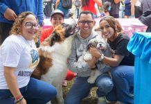 En Mérida realizan jornada integral de atención a las mascotas (+ Detalles)