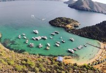 Ubicada en el Parque Nacional Mochima y con sus aguas de color verde esmeralda, Playa El Faro cautiva a propios y visitantes (+ Fotos)