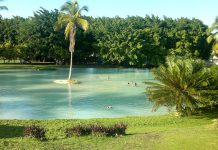Las Aguas de Moisés: el oasis de Sucre que te recibe con aguas de manantial, arena blanca y contacto directo con peces ornamentales (+ Fotos)