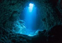 Científicos aseguran que la humanidad solo ha podido ver el 0,001% de las profundidades del mar
