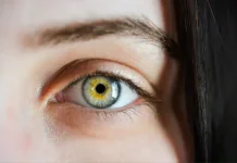 Estas son las tres vitaminas esenciales que recomiendan los expertos para mantener una buena salud visual