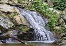 Cascada la Mariposa Azul: un atractivo natural que cautiva tus sentidos en el estado Carabobo