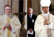 Parolin y Tagle: favoritos y a la vez atacadös en la recta final hacia el cónclave para elegir al próximo Papa