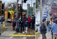 ¿Una falla inversa? La explicación de la ponente actividad sísmica en Chile