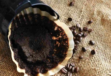 La borra del café: De residuo a un recurso valioso en el hogar y jardín