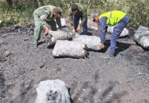 Incautaron en Lara un cargamento de 1.440 kilogramos de carbón ilegal