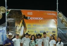 Feria San Celestino 2025 dejó ingresos por más de 33 millones de bolívares ( + Fotos)