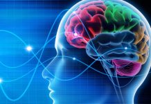 Nueva investigación muestra que la divagación mental puede beneficiar al cerebro