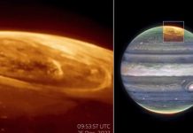 Telescopio Webb de la NASA capturó las brillantes auroras de Júpiter