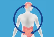Descubre la importancia de la conexión entre el intestino y el cerebro para la salud humana