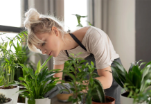 Más allá de la decoración: Las plantas reflejan tu interior y nutren tu salud mental