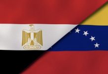 Diálogo telefónico entre Venezuela y Egipto fortalece relaciones culturales y gasíferas