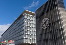 La OMS reduce a la mitad sus departamentos y directivos para afrontar la desfinanciación