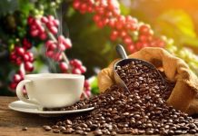 Industria militar confirmó que Venezuela exportará café a Rusia
