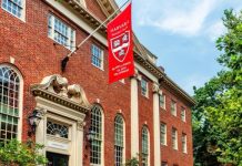 Estás son las carreras que la Universidad de Harvard recomienda estudiar para el futuro