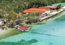 Vive la Ciénaga: Un Destino que nutre el alma y el espíritu con sus paisajes (+ Fotos)