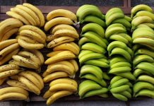 ¿Plátano verde o maduro?: estos son los beneficios según su estado de maduración