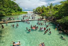 El río más transparente del planeta Tierra está en el Caribe y parece sacado del paraíso