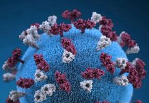 Estados Unidos enfrenta una crisïs de salud pública con más de 1.000 casos de sarämpión y brotes activos en 11 estados