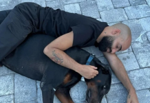 El impresionante hogar canino de Arcángel: lujo y comodidad para sus mascotas