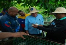 Activan Plan Nacional de Siembra de Coporo para fortalecer la acuicultura en Miranda