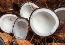 El coco y su valor nutricional para quienes buscan cuidar el cuerpo de manera natural