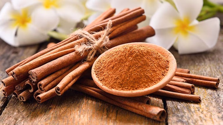 ¿Cuáles son las propiedades curativas de la canela? Una de las especias más antiguas y valoradas del mundo