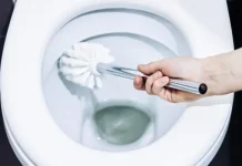 Cómo hacer pastillas caseras para desinfectar el inodoro en segundos (+ Detalles)